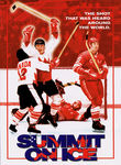 Summit on Ice Poster