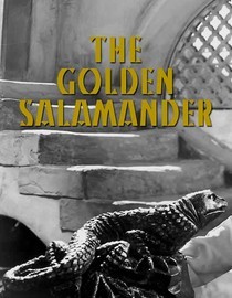 Golden Salamander