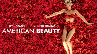 Netflix box art for American Beauty