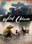 Wild China Poster