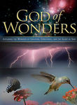 God of Wonders Poster