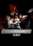Dragon Tiger Gate Poster