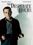 The Desperate Hours Poster