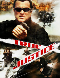 True Justice: Season 1: Payback