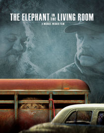 The Elephant In The Living Room