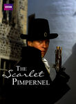 The Scarlet Pimpernel Poster