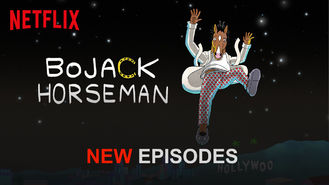 Netflix box art for BoJack Horseman - Season 2