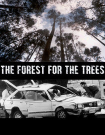 The Forest for the Trees