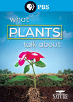 NATURE: What Plants Talk About