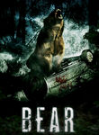 Bear Poster