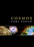 Cosmos Poster