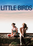 Little Birds Poster