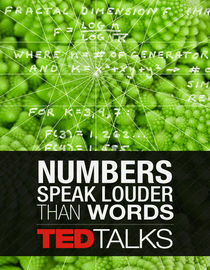 TEDTalks: Numbers Speak Louder than Words: Marcus du Sautoy: Symmetry, Reality's Riddle