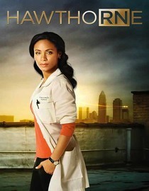 play video on Netflix