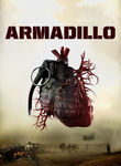 Armadillo Poster