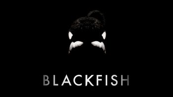 Netflix box art for Blackfish
