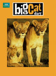 Big Cat Diary: Season 2 Poster