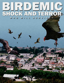 Birdemic: Shock and Terror