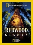 National Geographic: Climbing Redwood Giants Poster