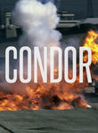 Condor Poster