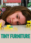 Tiny Furniture Poster