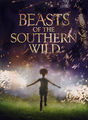 Beasts of the Southern Wild | filmes-netflix.blogspot.com
