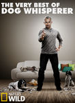 The Very Best of Dog Whisperer with Cesar Millan Poster