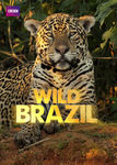 Wild Brazil | filmes-netflix.blogspot.com