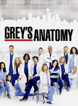 Grey's Anatomy: Season 6 Poster