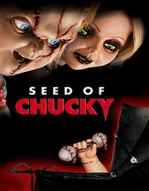 play video on Netflix