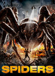 Spiders Poster