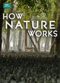 How Nature Works | filmes-netflix.blogspot.com