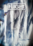 Art of Flight Poster