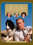 All Creatures Great and Small: Series 7 Poster