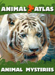 Animal Atlas: Animal Mysteries Poster