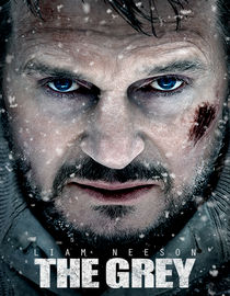 play video on Netflix