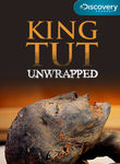 King Tut Unwrapped: Season 1 Poster