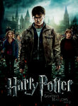Harry Potter and the Deathly Hallows: Part II Poster