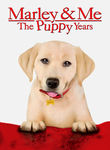 Marley and Me: The Puppy Years Poster