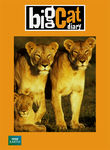 Big Cat Diary Poster