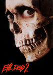 Evil Dead 2: Dead by Dawn Poster