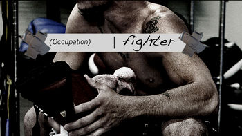 Netflix box art for Occupation: Fighter