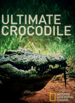 National Geographic: Ultimate Crocodile Poster