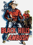 Black Hills Ambush Poster