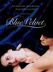 Blue Velvet Poster