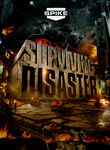 Surviving Disaster: Season 1 Poster