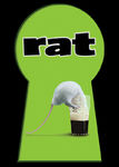 Rat Poster