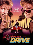 License to Drive Poster