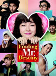 Finding Mr. Destiny Poster