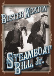 Steamboat Bill, Jr. Poster